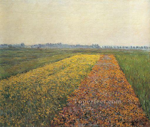 The Yellow Fields at Gennevilliers landscape Gustave Caillebotte Oil Paintings